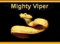 Mighty Vipers Student Promise - 39170 Bytes